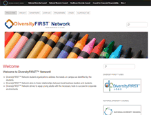 Tablet Screenshot of diversityfirstnetwork.org